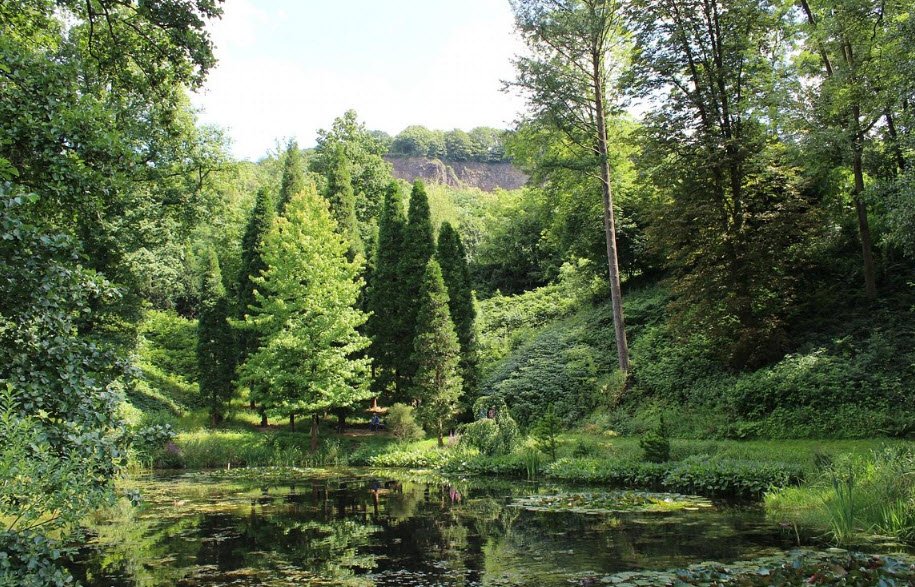 Foundation Arboretum Park Härle, Bonn, Germany, Germany